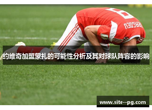 约维奇加盟蒙扎的可能性分析及其对球队阵容的影响