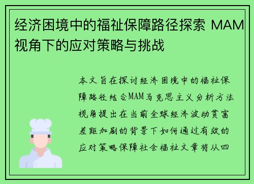 经济困境中的福祉保障路径探索 MAM视角下的应对策略与挑战