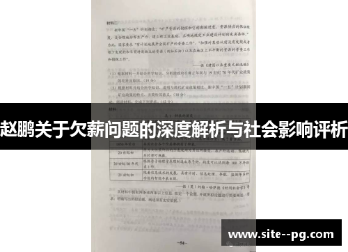 赵鹏关于欠薪问题的深度解析与社会影响评析 赵鹏关于欠薪问题的深度解析与社会影响评析