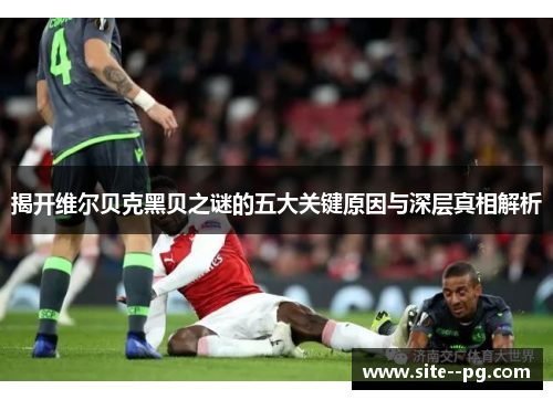 揭开维尔贝克黑贝之谜的五大关键原因与深层真相解析 揭开维尔贝克黑贝之谜的五大关键原因与深层真相解析