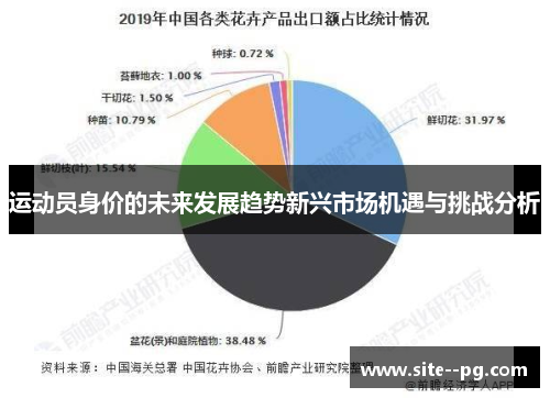 运动员身价的未来发展趋势新兴市场机遇与挑战分析 运动员身价的未来发展趋势新兴市场机遇与挑战分析