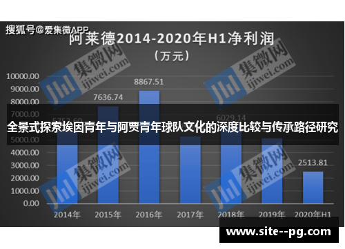 全景式探索埃因青年与阿贾青年球队文化的深度比较与传承路径研究 全景式探索埃因青年与阿贾青年球队文化的深度比较与传承路径研究