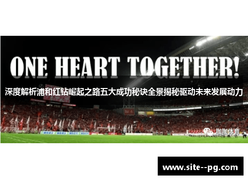 深度解析浦和红钻崛起之路五大成功秘诀全景揭秘驱动未来发展动力 深度解析浦和红钻崛起之路五大成功秘诀全景揭秘驱动未来发展动力