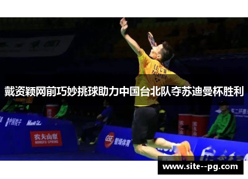 戴资颖网前巧妙挑球助力中国台北队夺苏迪曼杯胜利