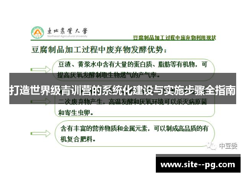 打造世界级青训营的系统化建设与实施步骤全指南