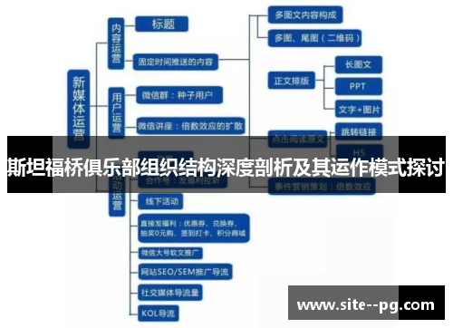 斯坦福桥俱乐部组织结构深度剖析及其运作模式探讨