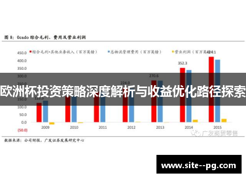 欧洲杯投资策略深度解析与收益优化路径探索 欧洲杯投资策略深度解析与收益优化路径探索