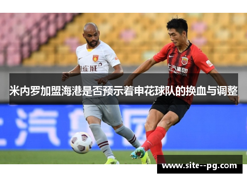米内罗加盟海港是否预示着申花球队的换血与调整
