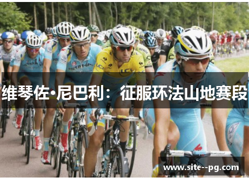 维琴佐·尼巴利：征服环法山地赛段