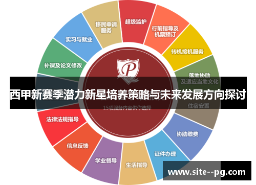 西甲新赛季潜力新星培养策略与未来发展方向探讨