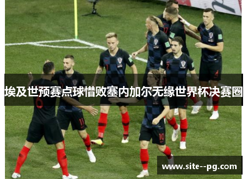 埃及世预赛点球惜败塞内加尔无缘世界杯决赛圈