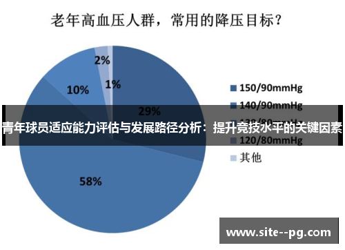 青年球员适应能力评估与发展路径分析：提升竞技水平的关键因素