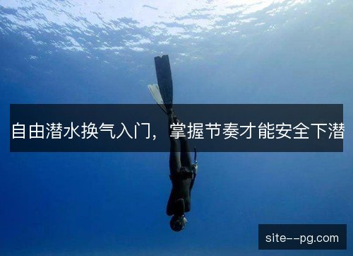 自由潜水换气入门,掌握节奏才能安全下潜 自由潜水换气入门,掌握节奏才能安全下潜