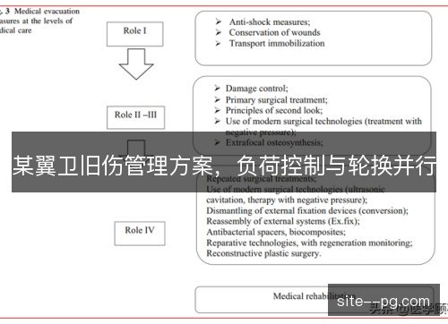 某翼卫旧伤管理方案，负荷控制与轮换并行