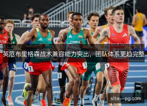 英厄布里格森战术兼容能力突出，团队体系更趋完整